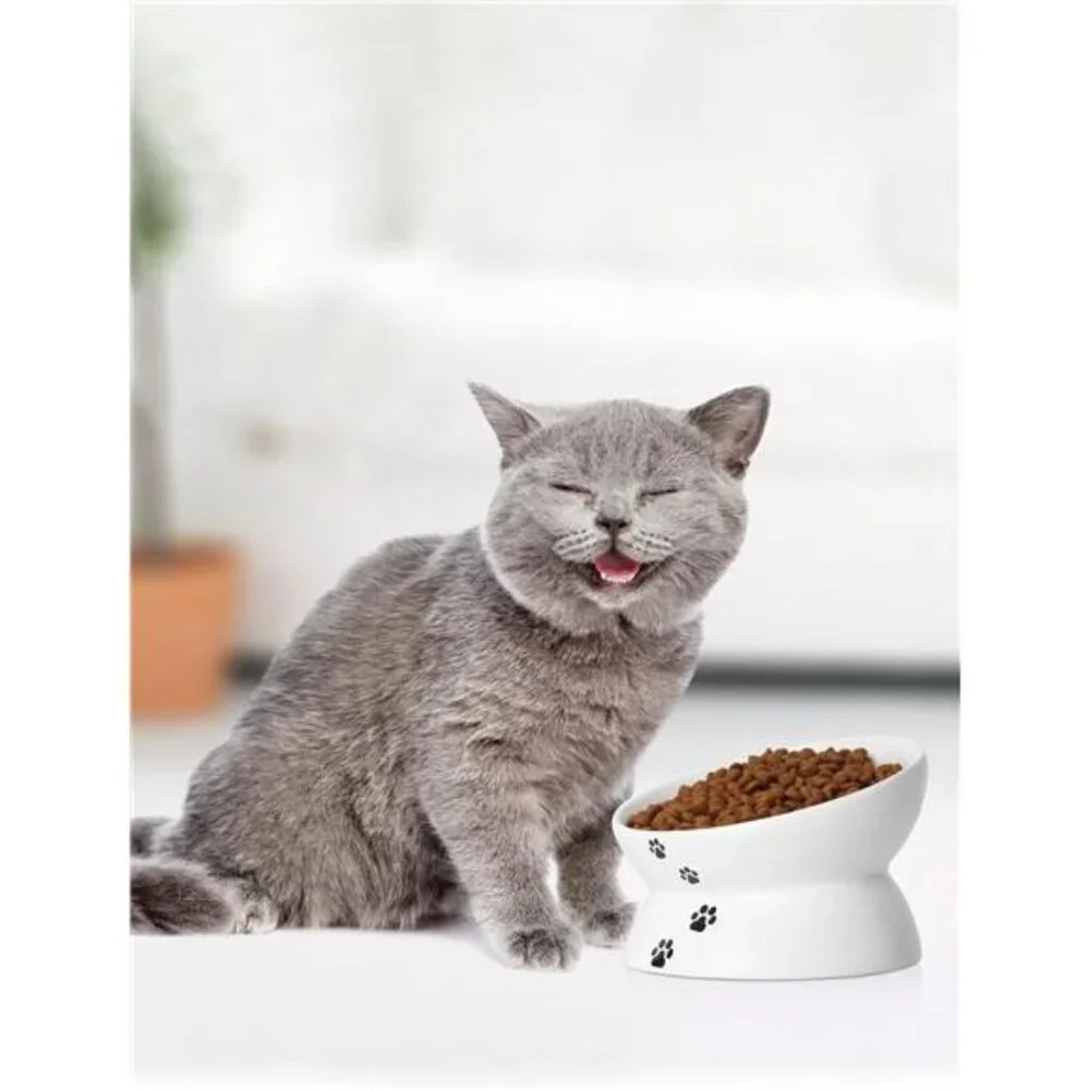 Cat Bowl Anti Vomiting, Raised Food Bowls, Tilted Elevated Bowl,Ceramic Pet Bowl